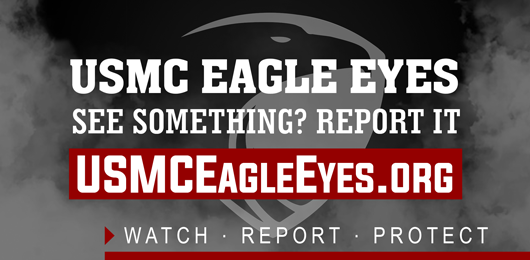 img-hlink_eagle_eyes.png